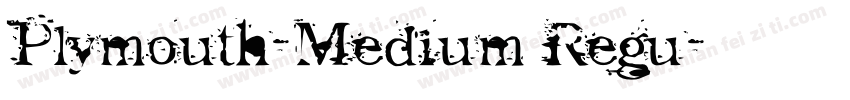 Plymouth-Medium Regu字体转换